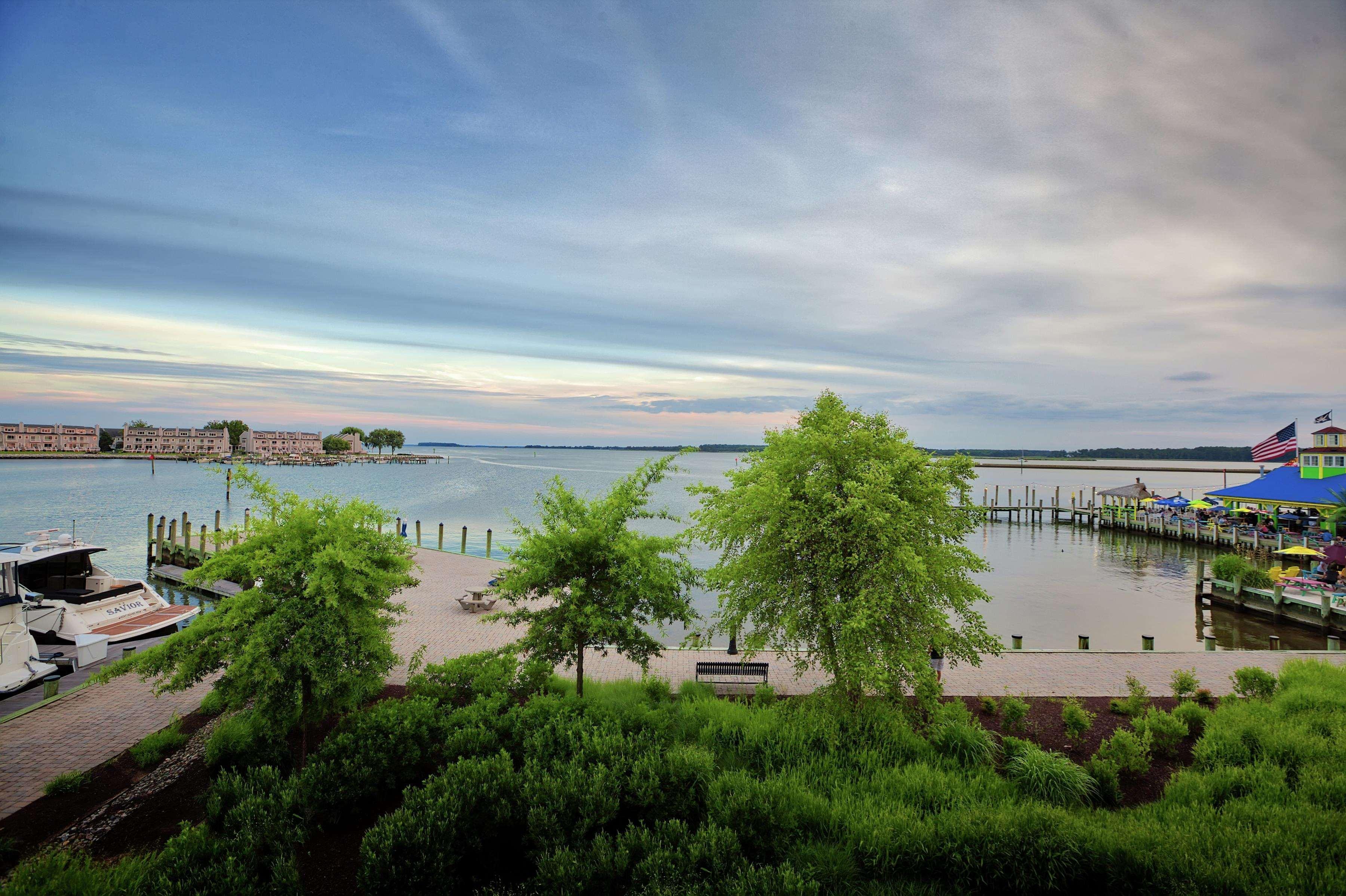 Hilton Garden Inn Kent Island Marina Grasonville Esterno foto